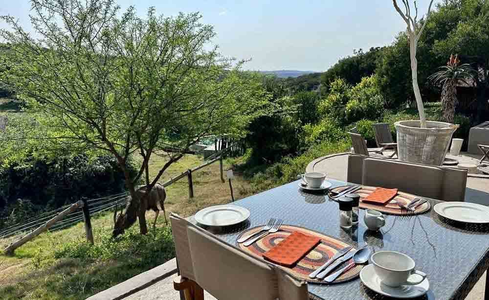 Amakhala Game Reserve - The Safari Lodge