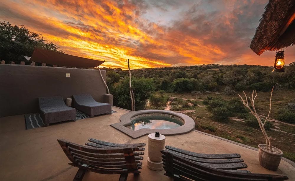 Amakhala Game Reserve - The Safari Lodge