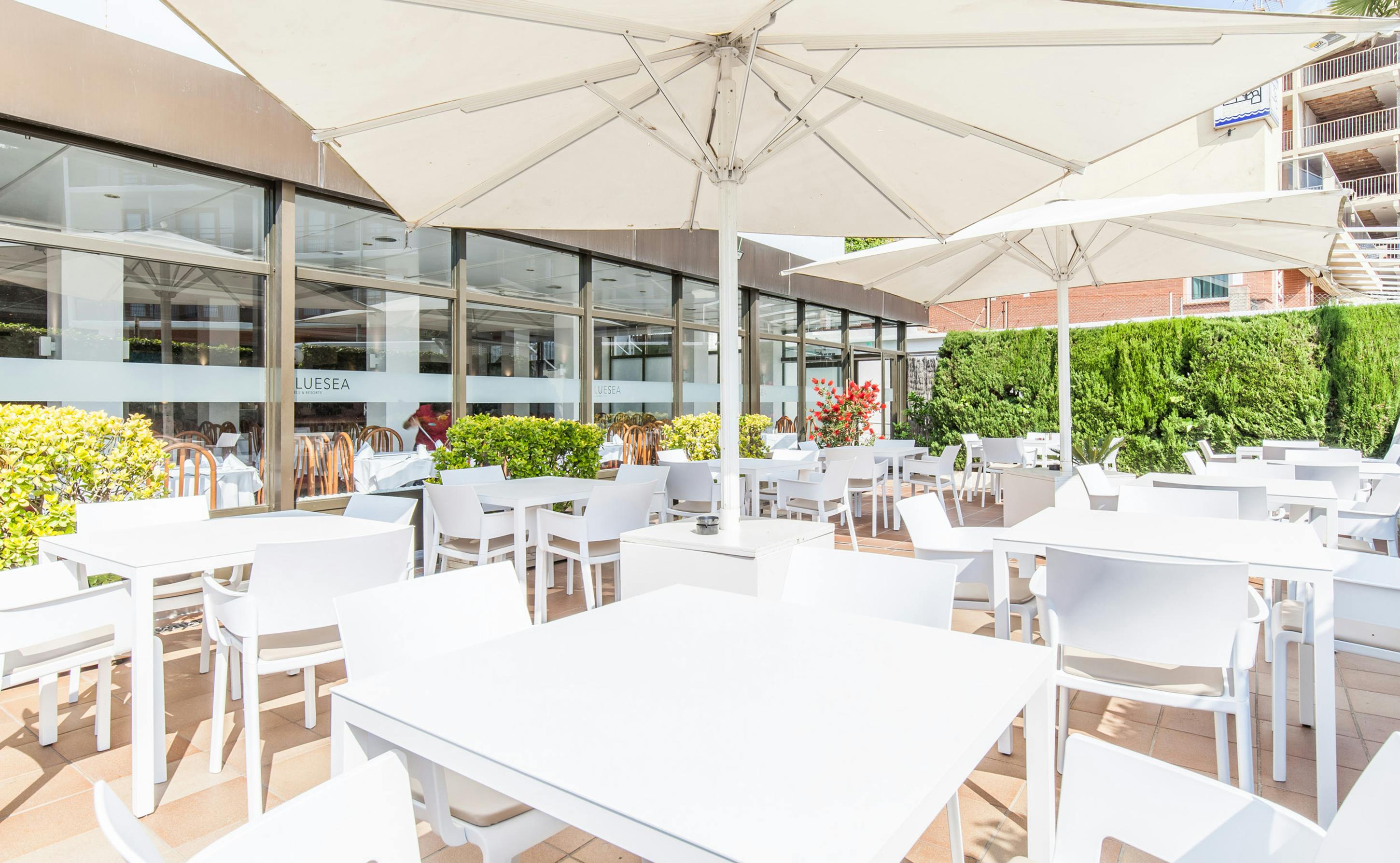  Blue Sea Montevista Hawai