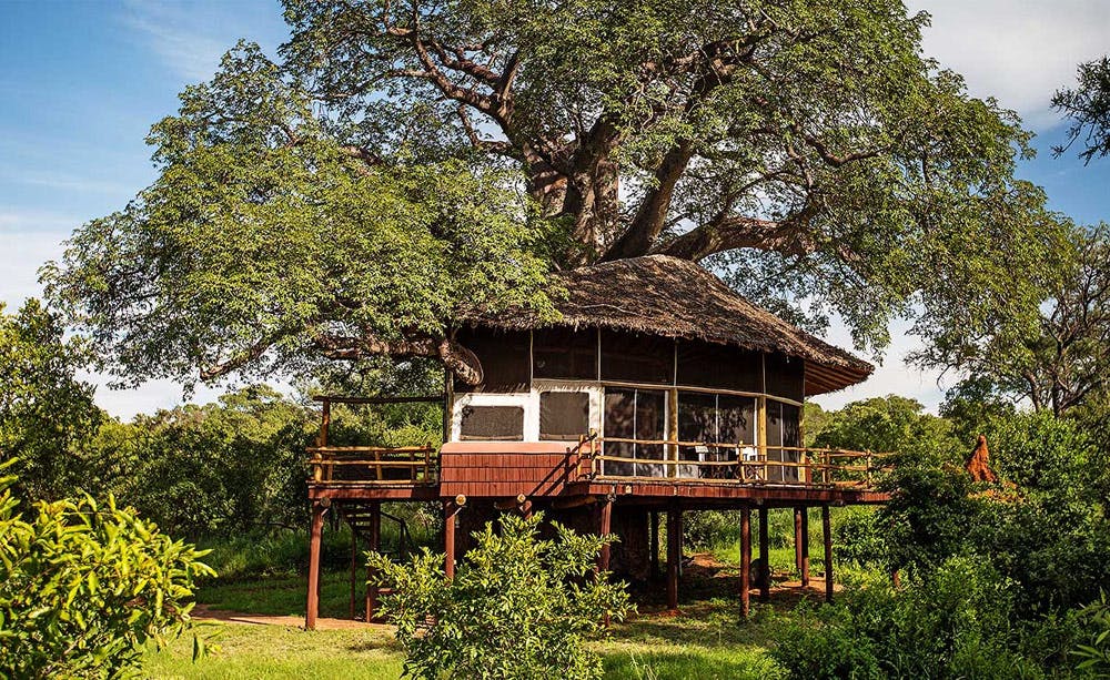 Elewana Tarangire Treetops