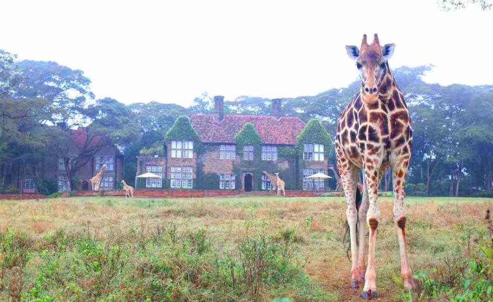 Giraffe Manor