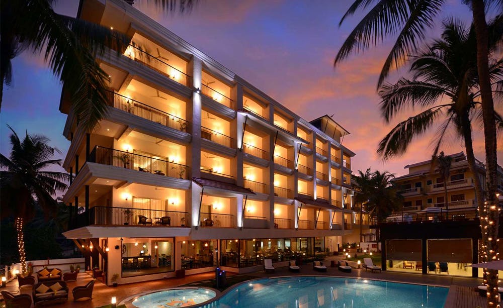 Golden Tulip