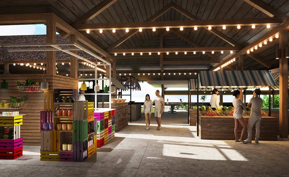 Joy Island by Cocoon Collection