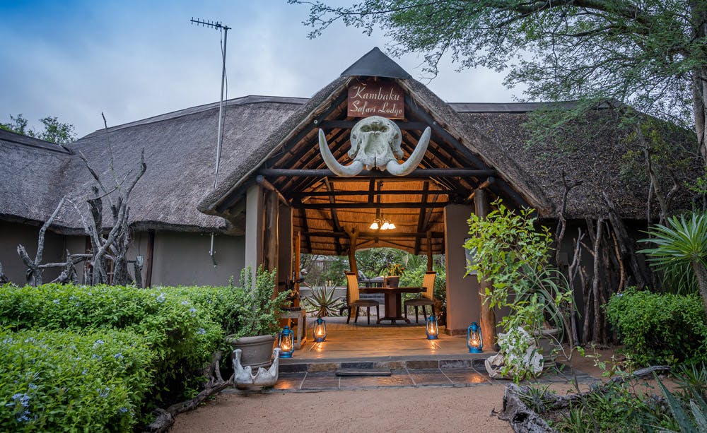 Kambaku Safari Lodge 