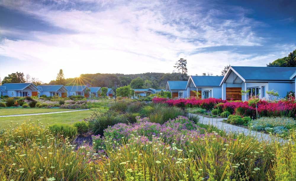 Knysna Hollow Country Estate