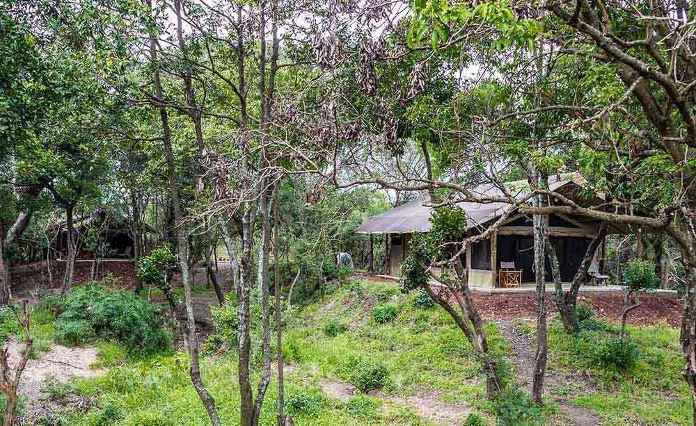 Lerai Safari Mara Camp