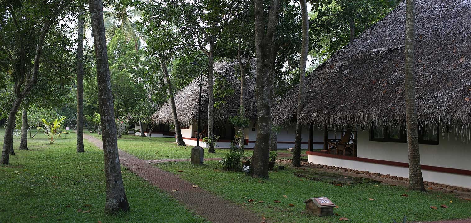  Marari Beach Resort- a CGH Earth Experience – Mararikulam 