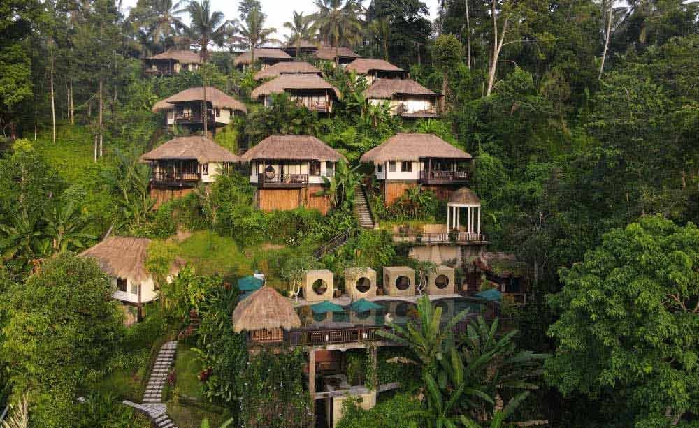 Nandini Jungle Resort and Spa 