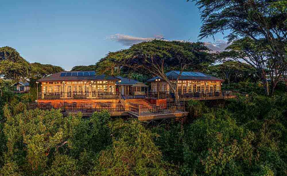 Ngorongoro Lion’s Paw