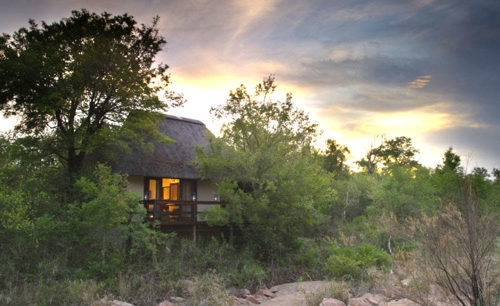 Sabi Sabi - Little Bush Camp