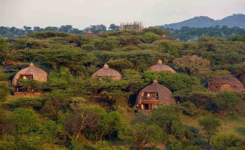 serengeti-serena-safari-lodge-tanzania-01