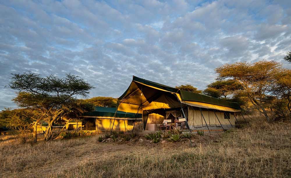 Serengeti Woodlands Camp