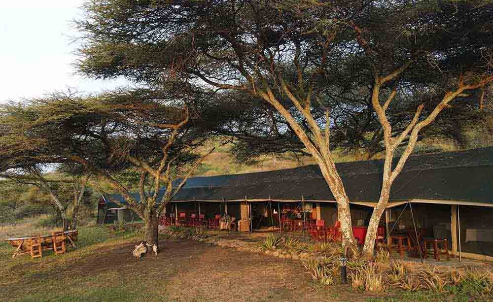 Serengeti Woodlands Camp