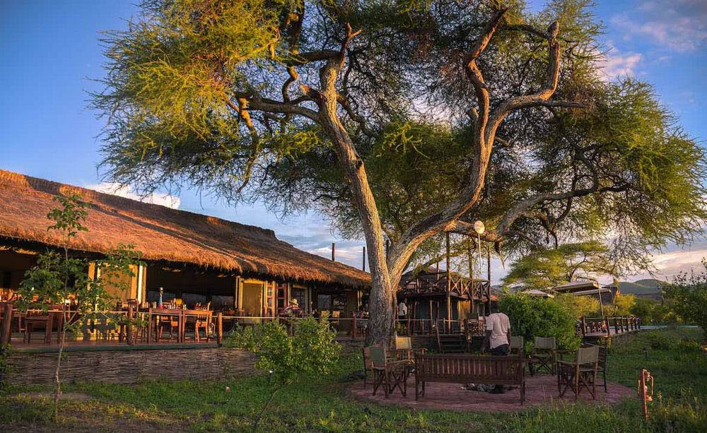 Tarangire Simba Lodge  