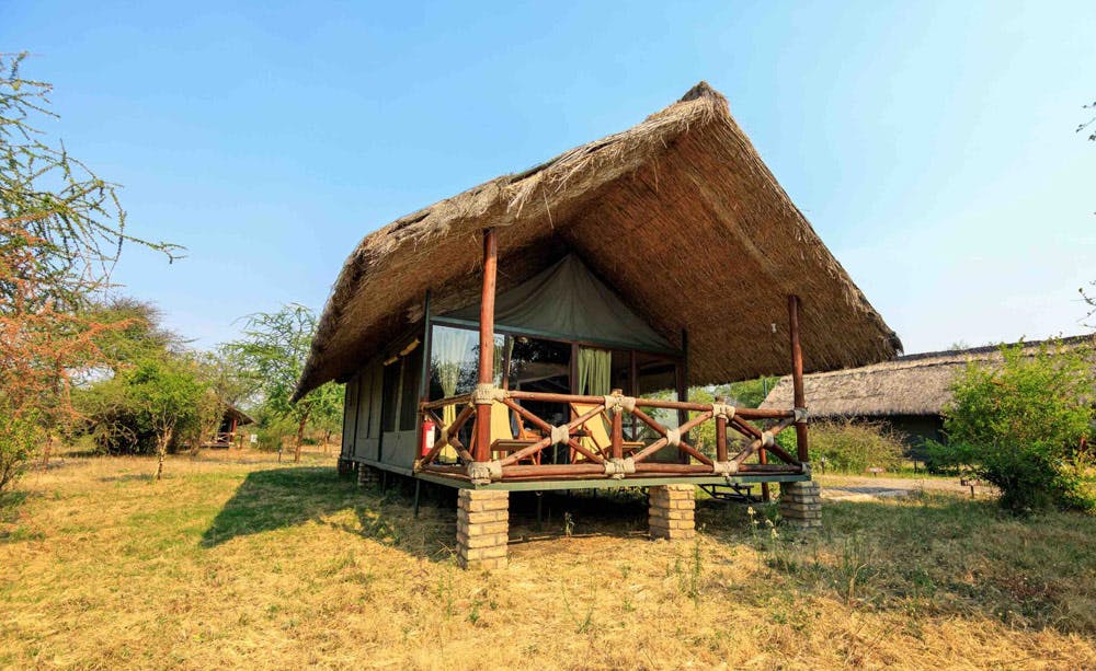 Tarangire Simba Lodge  