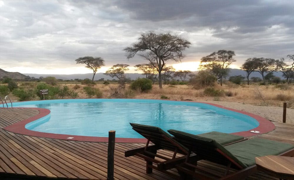 Tarangire Simba Lodge  