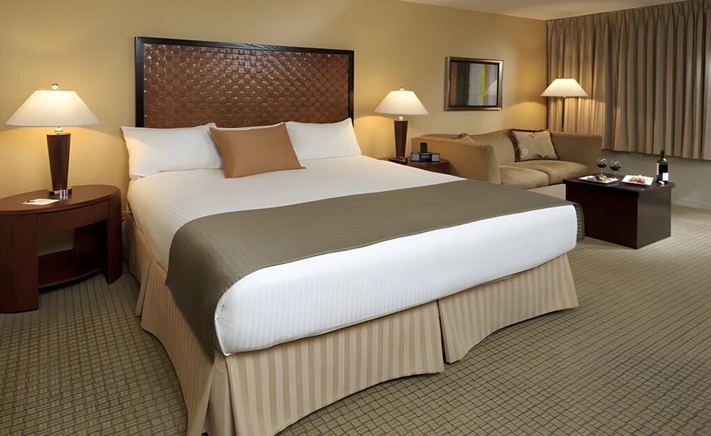 The Skyline Hotel Manhattan