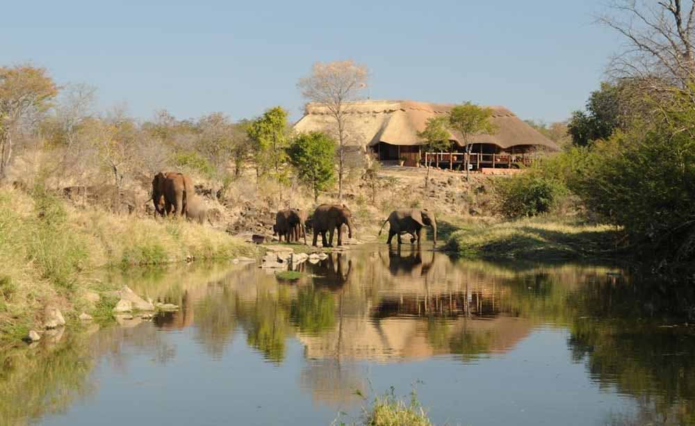 Wallow Lodge