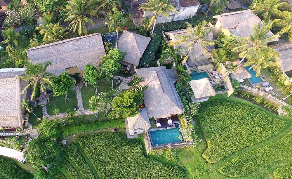 Wapa di Ume Ubud